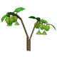 Sugar Apple Image