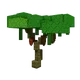 Cacao Image