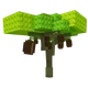 Kiwi Image
