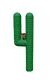 Cactus Image