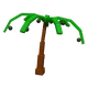 Coconut Image