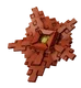 Rafflesia Image