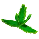 Aloe Vera Image