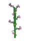 Lilac Image