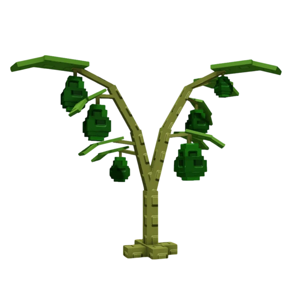 Avocado Image