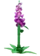 Foxglove Image
