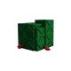 Raspberry Image