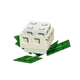 Cauliflower Image