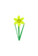 Daffodil Image