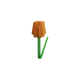 Orange Tulip Image