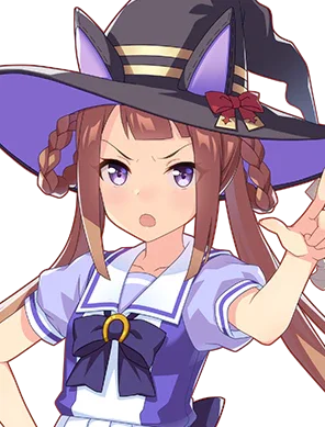 sweep tosho Image