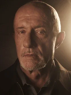 Mike Ehrmantraut Image