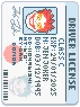 Driver's License Image