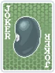 Turtle Bean Image