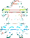 Hologram Image