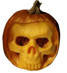 Skeleton Pumpkin Image