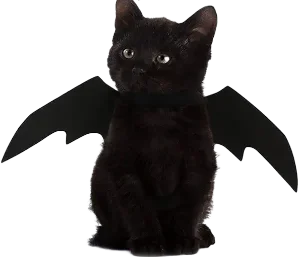 Bat Wings Cat Image