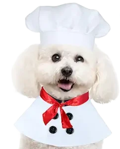 Chef Dog Halloween Image
