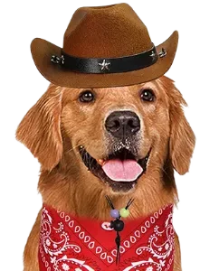 Cowboy Dog Image