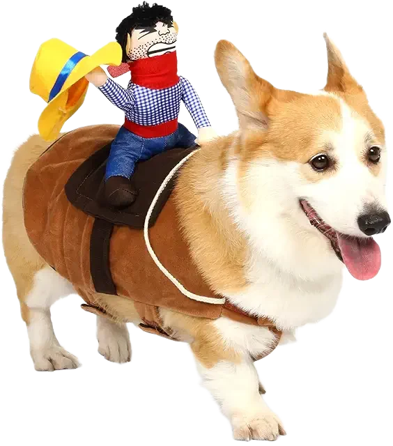 Cowboy Rider Dog Image