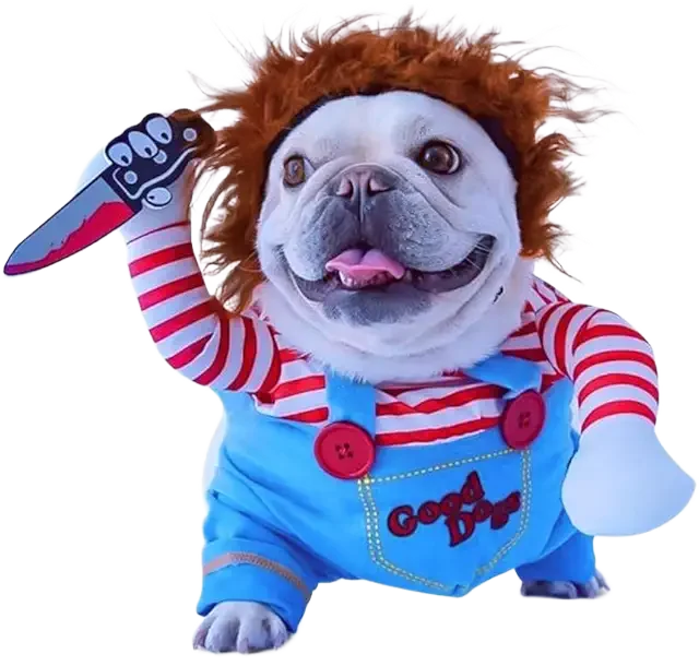 Deadly Doll Dog Image