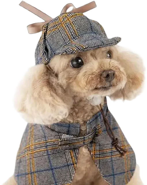 Detective Dog Image