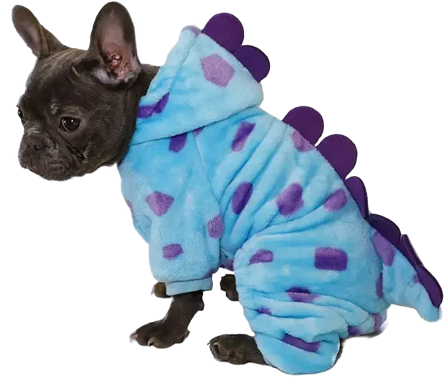 Dinosaur Costume Dog Image