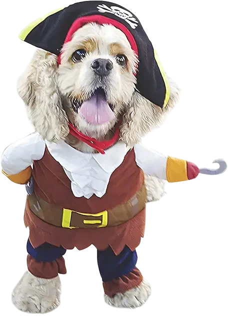 Pirate Dog Image
