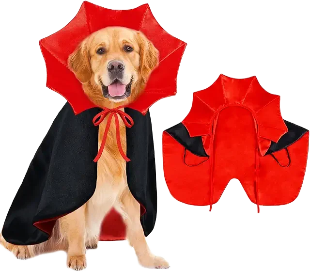 Vampire Dog Image