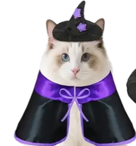 Witch Cat Image