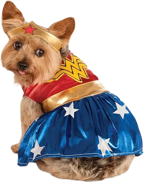 Wonder Woman Dog Image