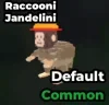 Raccooni Jandelini Image