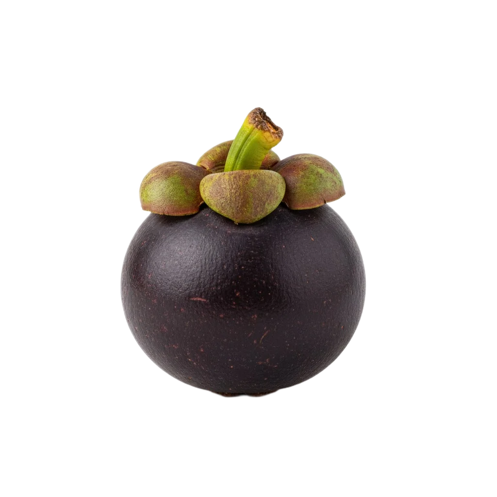 Mangosteen Image